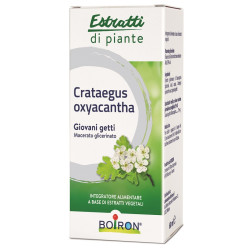 Crataegus boiron macerato...