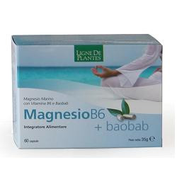 Magnesio b6 + baobab 60...