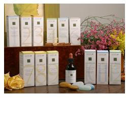 Zef12 belson plant stv