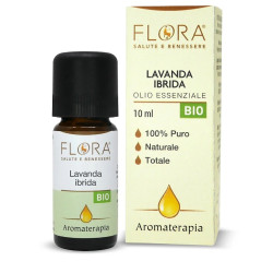 Lavanda ibrida olio...