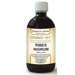 Gemmo 10+ ribes nero 500 ml...